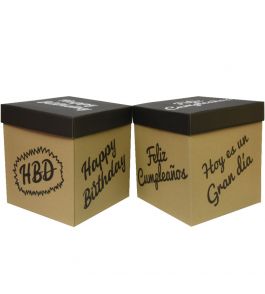 caja de carton cubo rigida 50x50